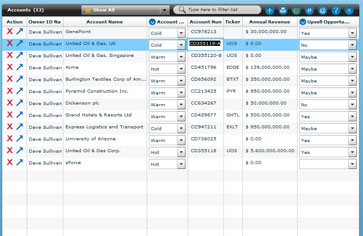 Salesforce data in excel grids